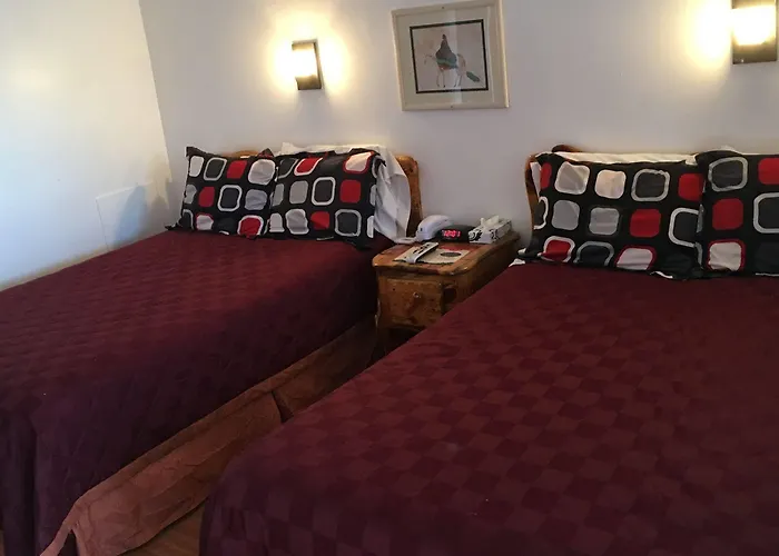 Highlander Motel Williams